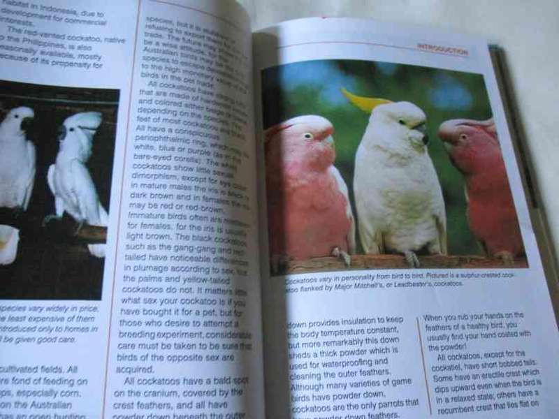 TAMING AND TRAINING COCKATOOS - RISA TEITLER