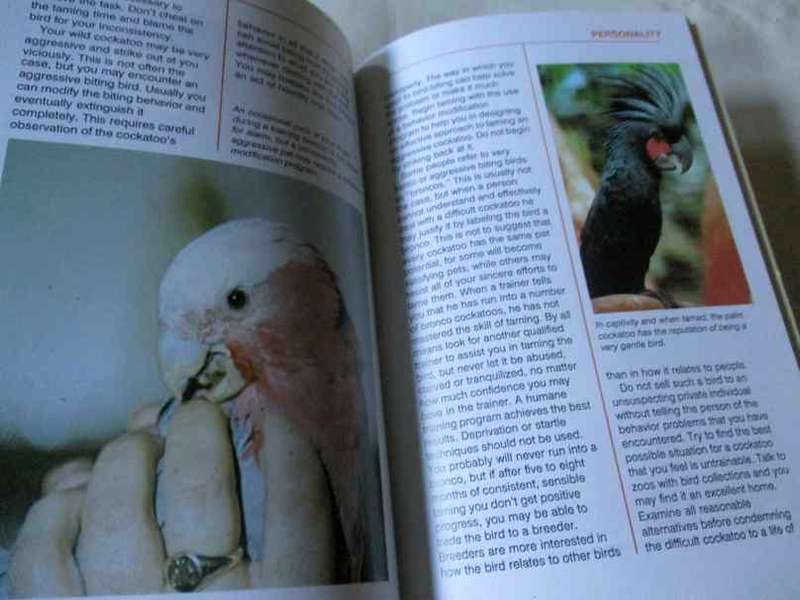 TAMING AND TRAINING COCKATOOS - RISA TEITLER