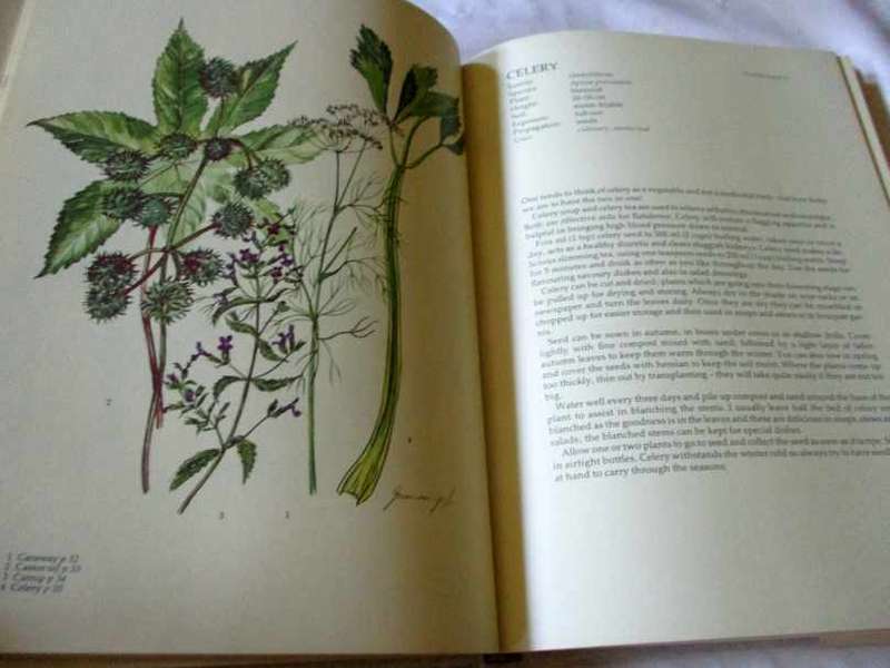 GROWING HERBS WITH MARGARET ROBERTS - A GUIDE TO GROWING HERBS IN SOUTH AFRICA