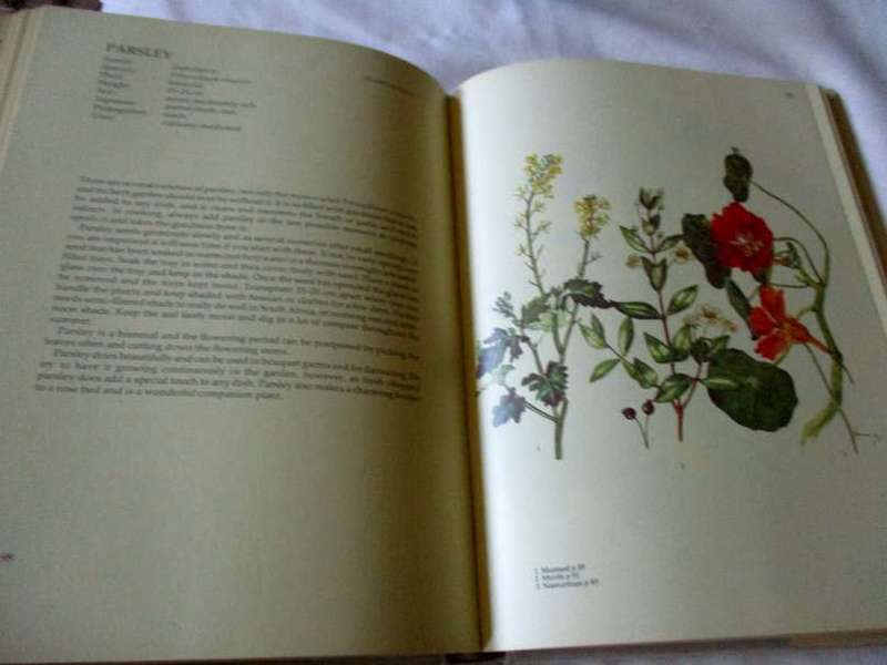 GROWING HERBS WITH MARGARET ROBERTS - A GUIDE TO GROWING HERBS IN SOUTH AFRICA