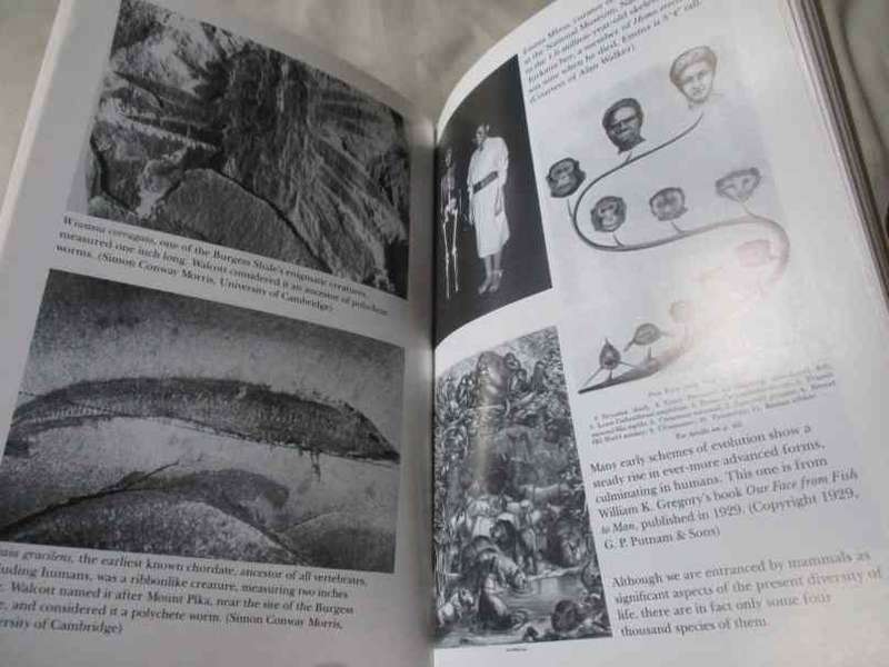 THE SIXTH EXTINCTION - BIODIVERSITY AND IT`S SURVIVAL - RICHARD LEAKEY AND ROGER LEWIN