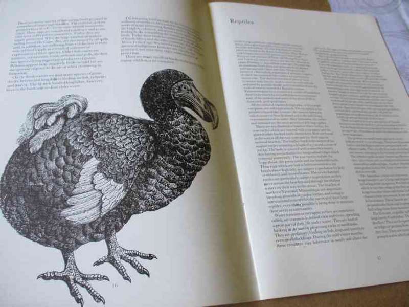 THE FAUNA AND FLORA OF SOUTHERN AFRICA & THEIR CONSERVATION - DOUGLAS HEY