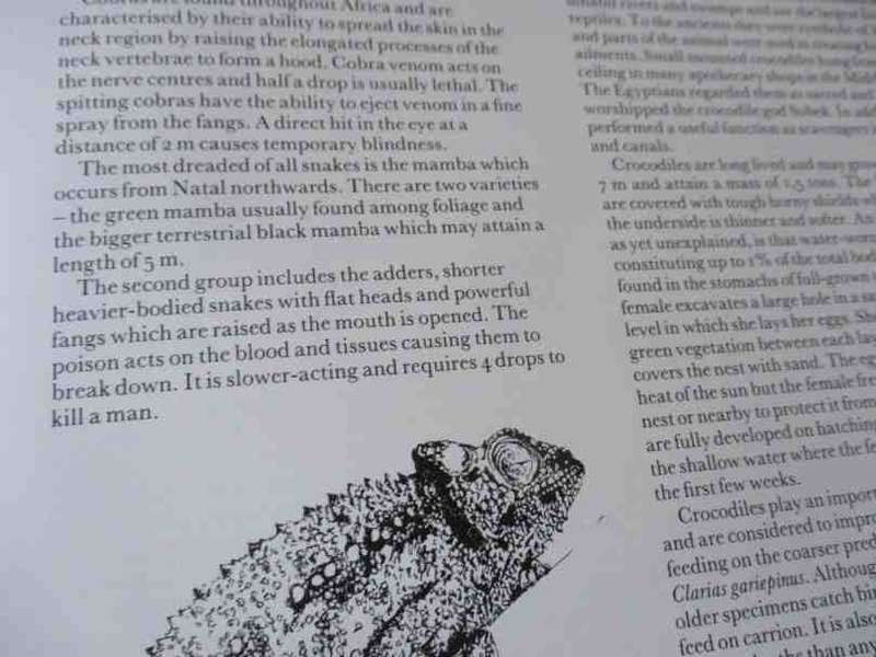 THE FAUNA AND FLORA OF SOUTHERN AFRICA & THEIR CONSERVATION - DOUGLAS HEY