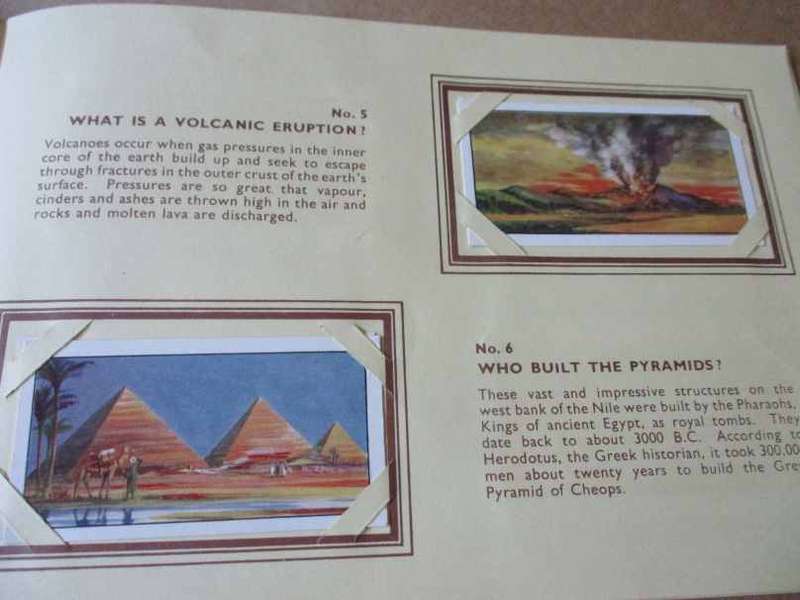 VINTAGE  TYPHOO TEA ` DO YOU KNOW ` TRADING CARDS & ALBUM - COMPLETE