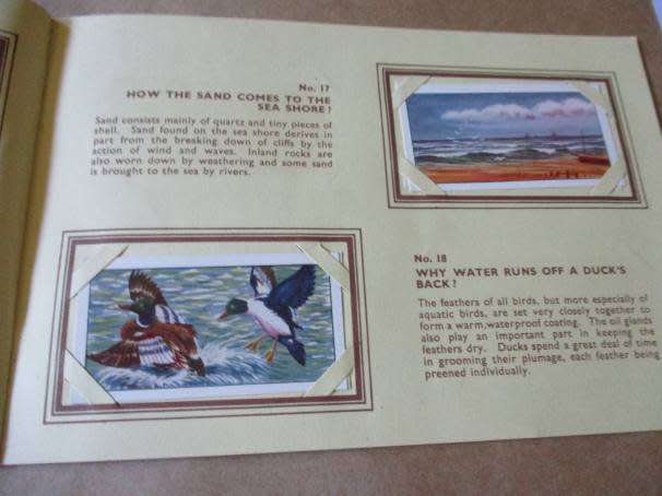 VINTAGE  TYPHOO TEA ` DO YOU KNOW ` TRADING CARDS & ALBUM - COMPLETE
