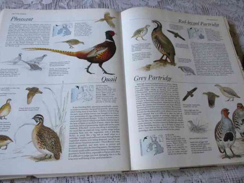 THE COMPLETE BOOK OF BRITISH BIRDS - MAGNUS MAGNUSSON / RSPB / AA