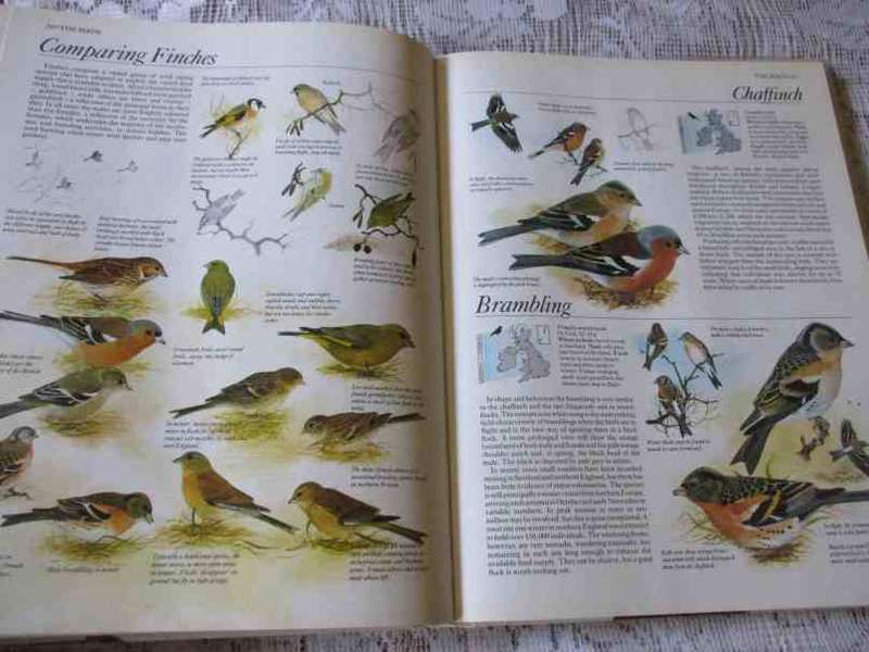THE COMPLETE BOOK OF BRITISH BIRDS - MAGNUS MAGNUSSON / RSPB / AA