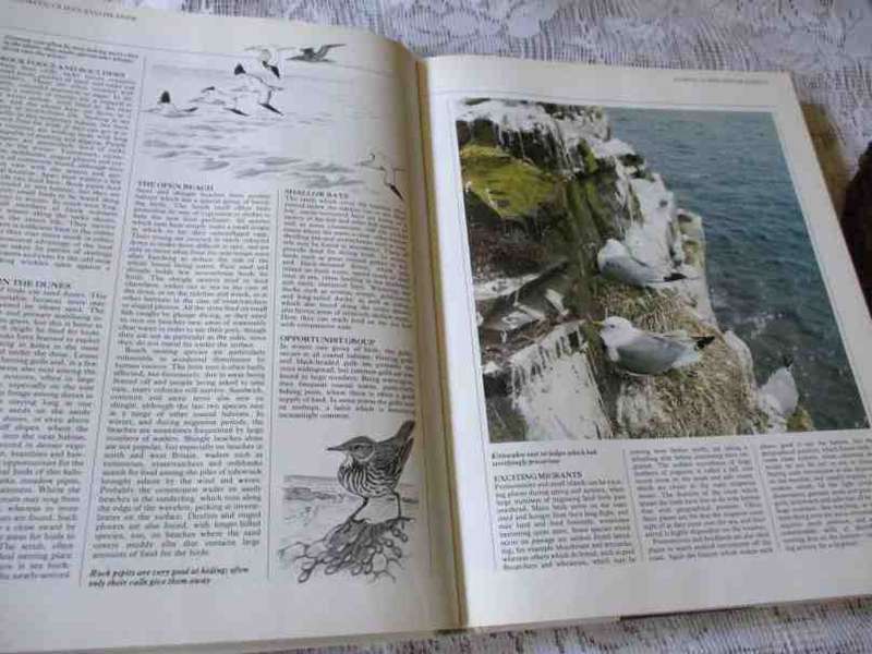 THE COMPLETE BOOK OF BRITISH BIRDS - MAGNUS MAGNUSSON / RSPB / AA