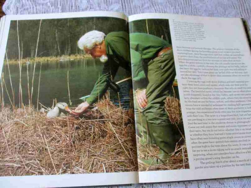 THE YEAR OF THE GREYLAG GOOSE - KONRAD LORENZ