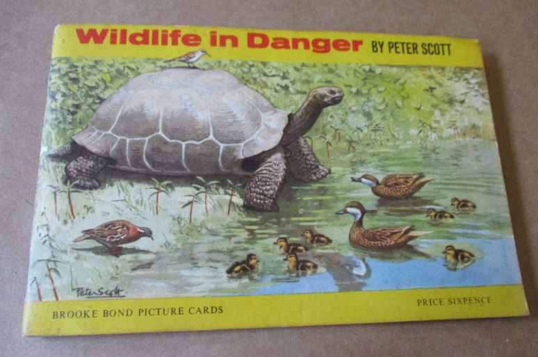 WILDLIFE IN DANGER BY PETER SCOTT - BROOKE BOND PICTURE CARDS ( BROOKE BOND TEA TRADING CARDS )
