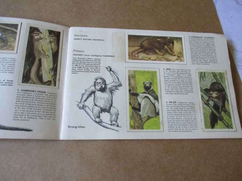 WILDLIFE IN DANGER BY PETER SCOTT - BROOKE BOND PICTURE CARDS ( BROOKE BOND TEA TRADING CARDS )