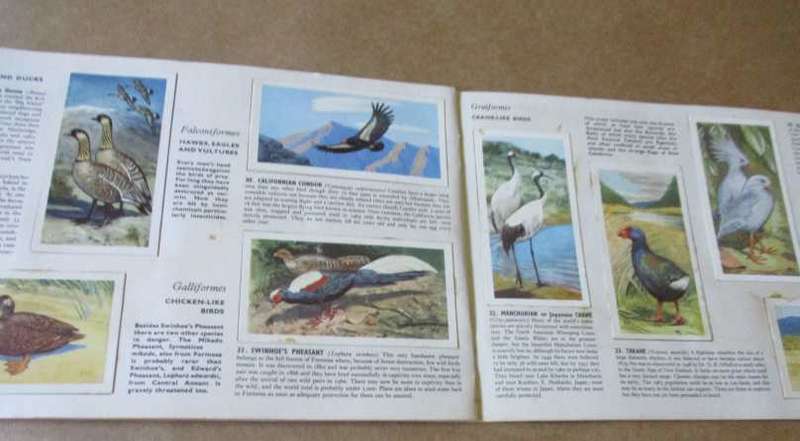 WILDLIFE IN DANGER BY PETER SCOTT - BROOKE BOND PICTURE CARDS ( BROOKE BOND TEA TRADING CARDS )