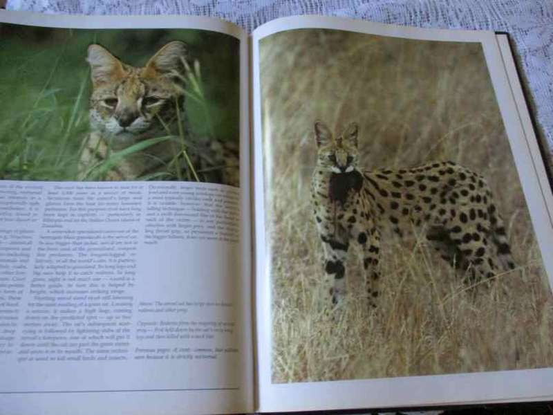 THE HUNTERS AND THE HUNTED - KARL AND KATHRINE AMMANN