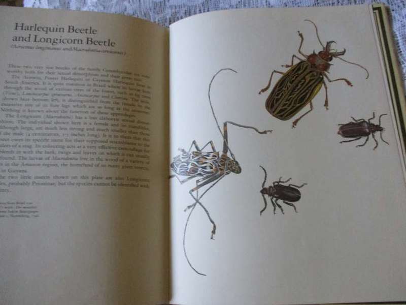 LAROUSSE ANIMAL PORTRAITS - P.P. GRASSE`