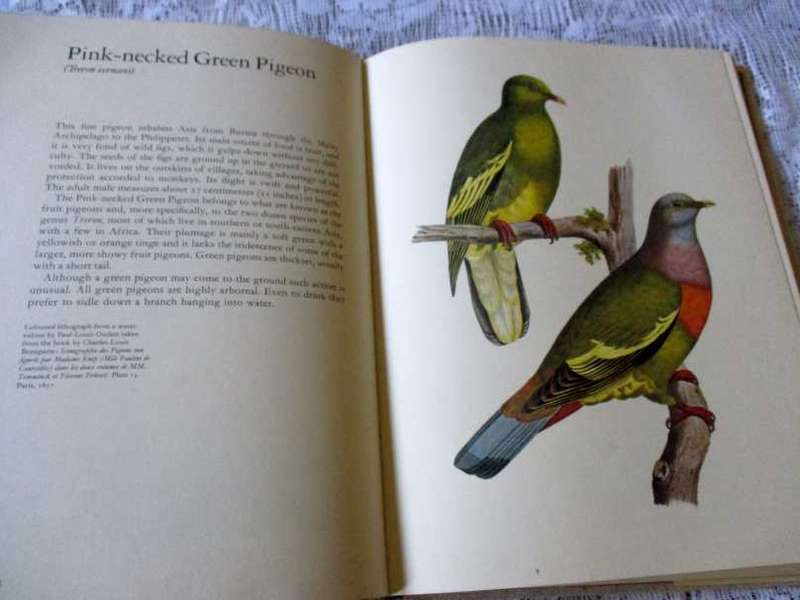 LAROUSSE ANIMAL PORTRAITS - P.P. GRASSE`