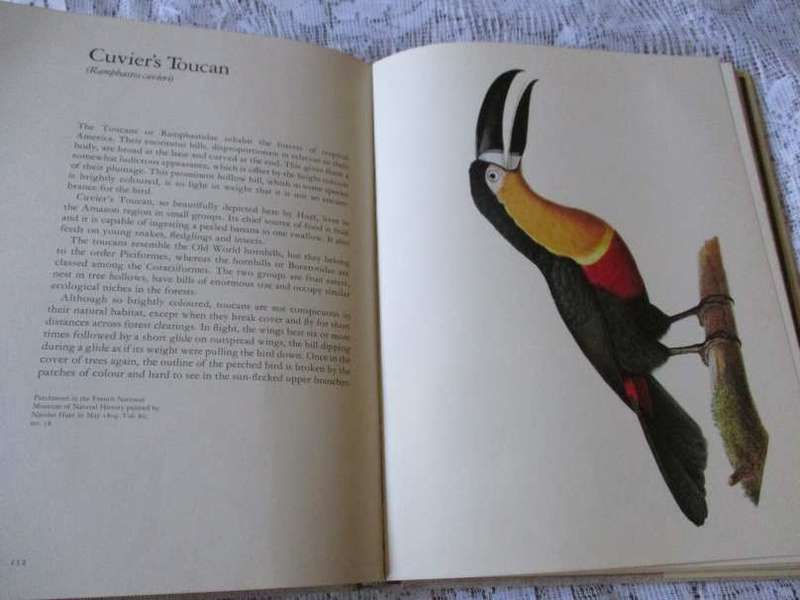 LAROUSSE ANIMAL PORTRAITS - P.P. GRASSE`