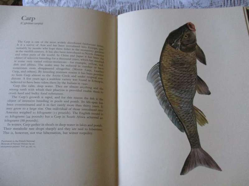 LAROUSSE ANIMAL PORTRAITS - P.P. GRASSE`