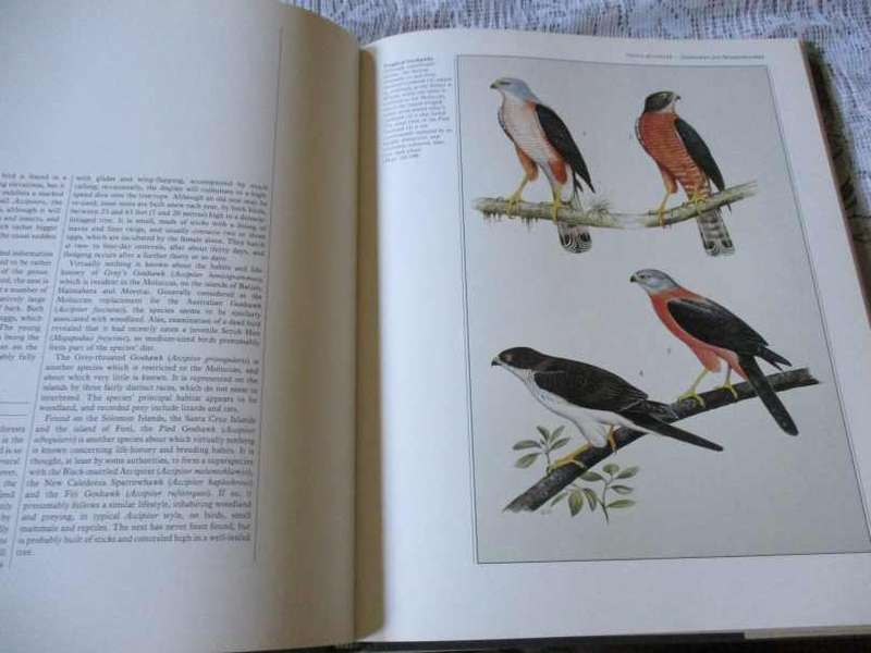 BIRDS OF PREY OF THE WORLD - PHILIP BURTON, ILLUSTRATED BY TREVOR BOYER