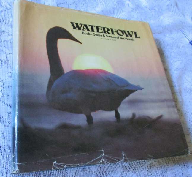 WATERFOWL, DUCKS, GEESE & SWANS OF THE WORLD - FRANK S TODD