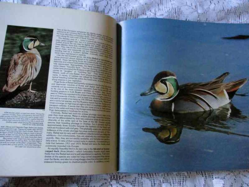 WATERFOWL, DUCKS, GEESE & SWANS OF THE WORLD - FRANK S TODD