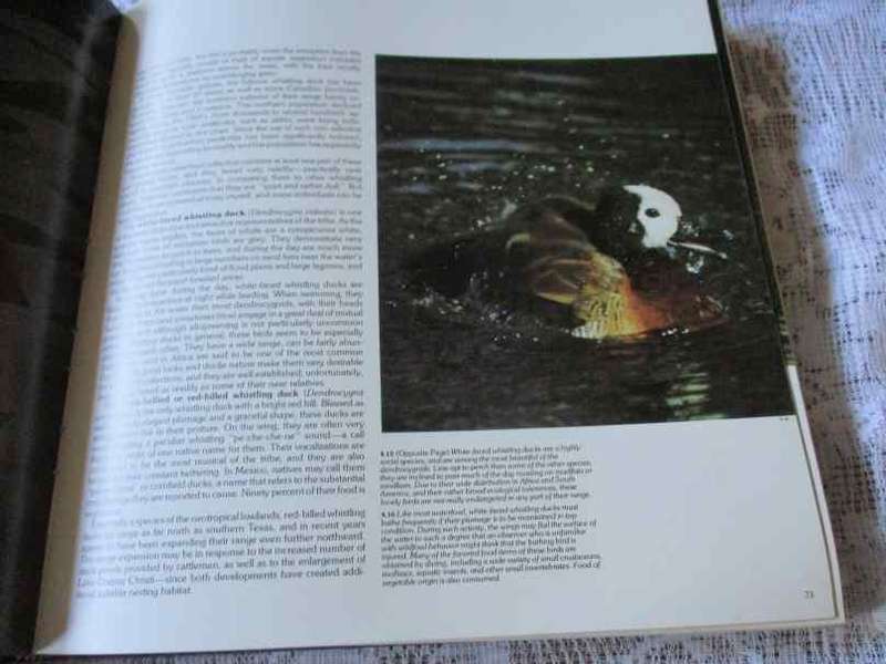 WATERFOWL, DUCKS, GEESE & SWANS OF THE WORLD - FRANK S TODD