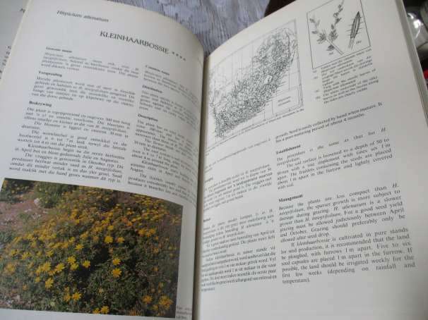 100 VELDPLANTE VAN DIE WINTERREENSTREEK / 100  VELD PLANTS OF THE WINTER RAINFALL REGION - LANDBOU