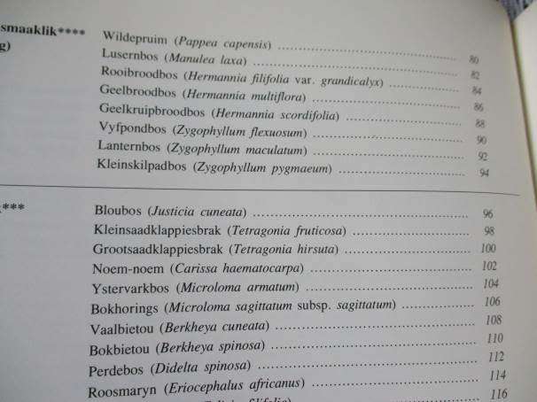 100 VELDPLANTE VAN DIE WINTERREENSTREEK / 100  VELD PLANTS OF THE WINTER RAINFALL REGION - LANDBOU
