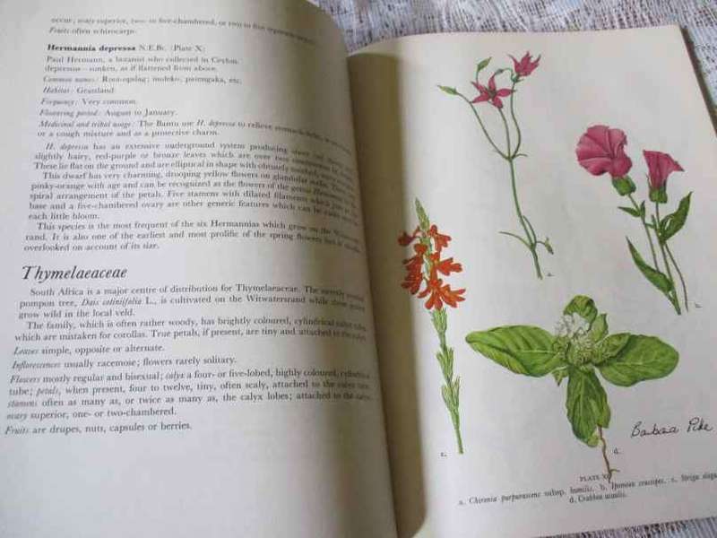 WILD FLOWERS OF THE WITWATERSRAND - ANNABELLE LUCAS / ILLUST. BARBARA PIKE