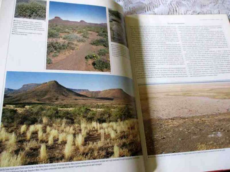 THE LIVING DESERTS OF SOUTHERN AFRICA - BARRY LOVEGROVE