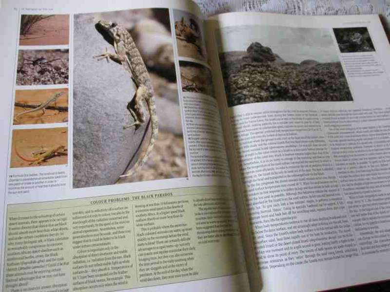 THE LIVING DESERTS OF SOUTHERN AFRICA - BARRY LOVEGROVE
