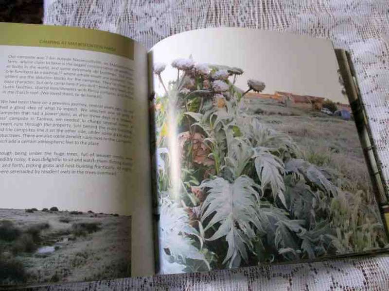 TRAVELS / TROUBLES WITH KOOS - SUE HOPPE