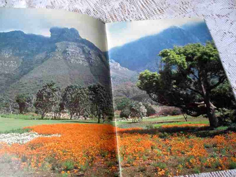 KIRSTENBOSCH BOTANIC GARDEN - INFORMATION / PROMOTIONAL BOOKLET 1985