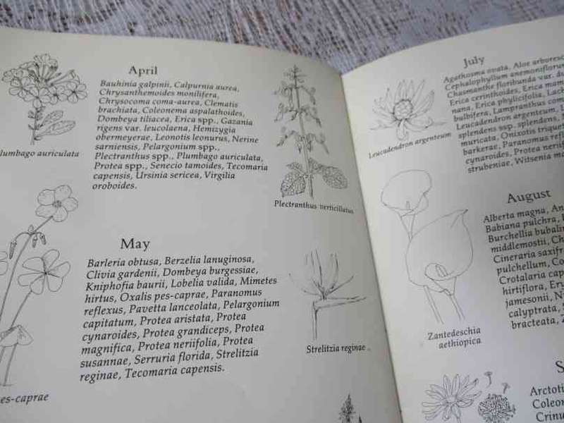 KIRSTENBOSCH BOTANIC GARDEN - INFORMATION / PROMOTIONAL BOOKLET 1985