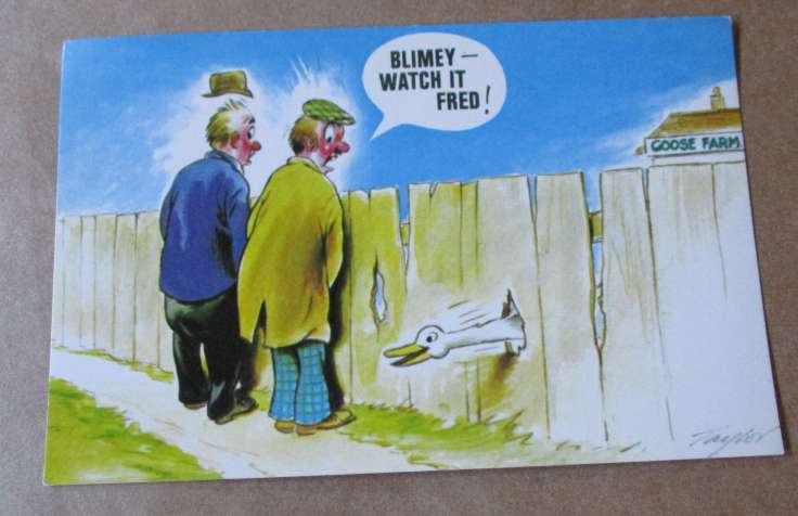 `NAUGHTIES` POST CARD