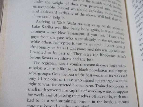 DEVIL INCARNATE - A DEPRAVED MERCENARY`S LIFELONG SWATHE OF DESTRUCTION - WAYNE THALLON