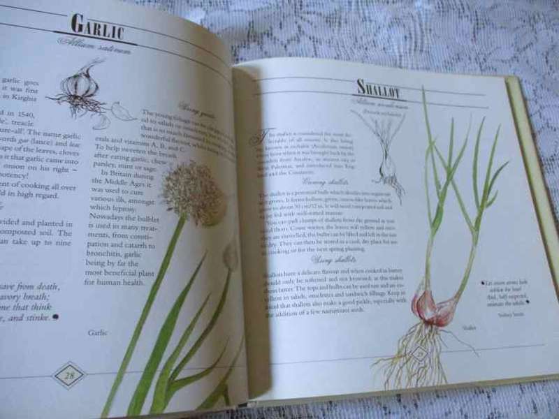 A CELEBRATION OF HERBS FOR THE SOUTH AFRICAN GARDEN & HOME - BARBARA HEY