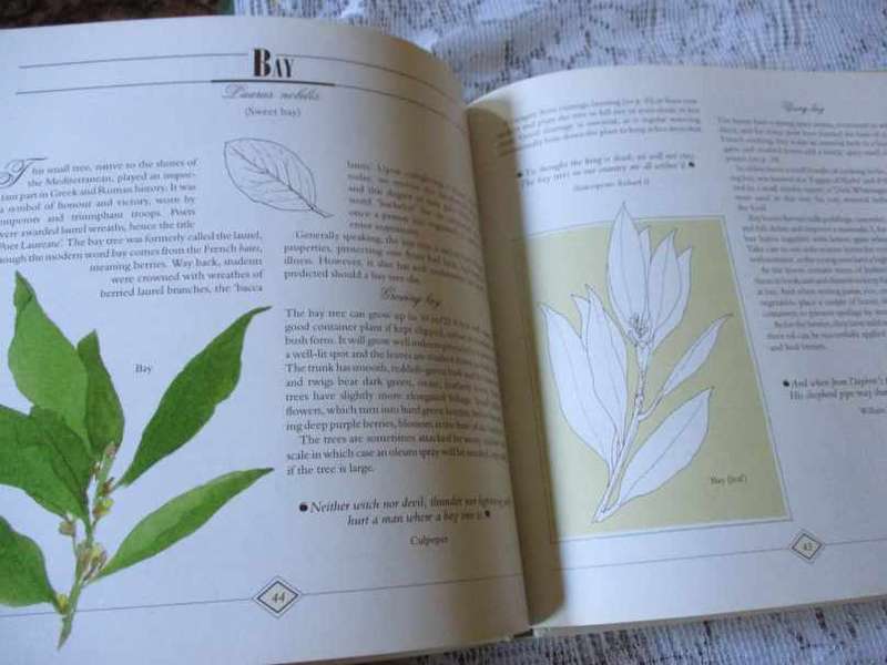 A CELEBRATION OF HERBS FOR THE SOUTH AFRICAN GARDEN & HOME - BARBARA HEY