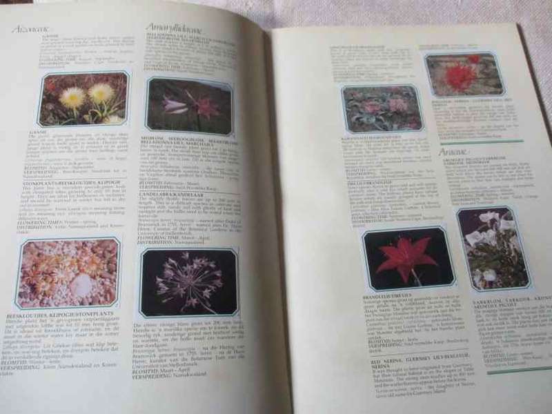 OUR WILD FLOWER HERITAGE / ONS VELDBLOMME ERFENIS - SHELL SOUTH AFRICA
