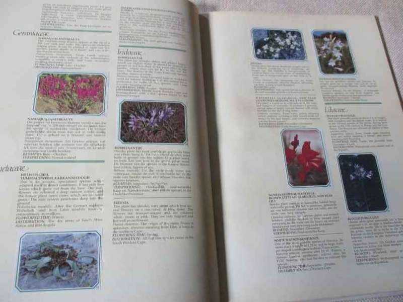 OUR WILD FLOWER HERITAGE / ONS VELDBLOMME ERFENIS - SHELL SOUTH AFRICA