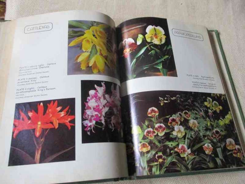 ORCHIDS & HOW TO GROW THEM - GLORIA JEAN SESSLER