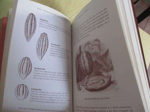 THE CHOCOLATE CONNOISSEUR - FOR EVERYONE WITH A PASSION OF CHOCOLATE - CHLOE DOUTRE-ROUSSEL