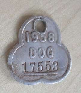 OLD CAPE TOWN DOG LICENCE DISC 1958