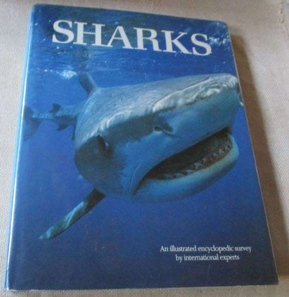 SHARKS - AN ENCYCLOPEDIC SURVEY BY INTERNATIONAL EXPERTS
