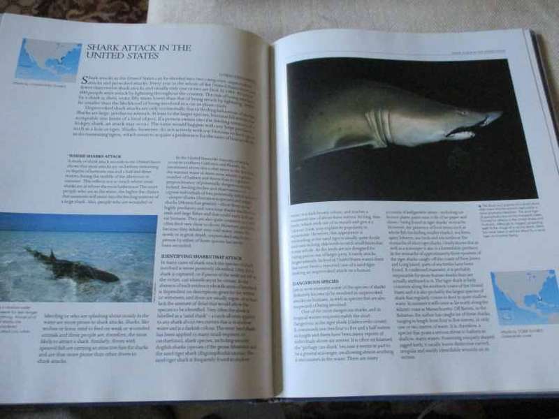 SHARKS - AN ENCYCLOPEDIC SURVEY BY INTERNATIONAL EXPERTS