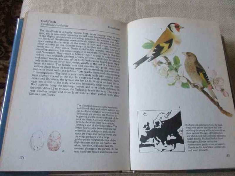 SONGBIRDS - KAREL STASTNY - HAMLYN COLOUR GUIDE