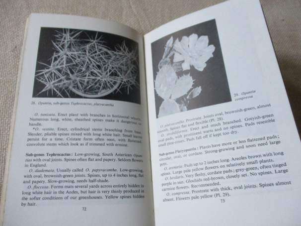 CACTI AND OTHER SUCCULENTS - PENGUIN HANDBOOK