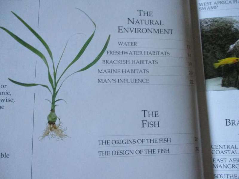 THE COMPLETE AQUARIUM - A PRACTICAL GUIDE TO BUILDING, STOCKING AND MAINTAINING FRESHWATER & MARINE