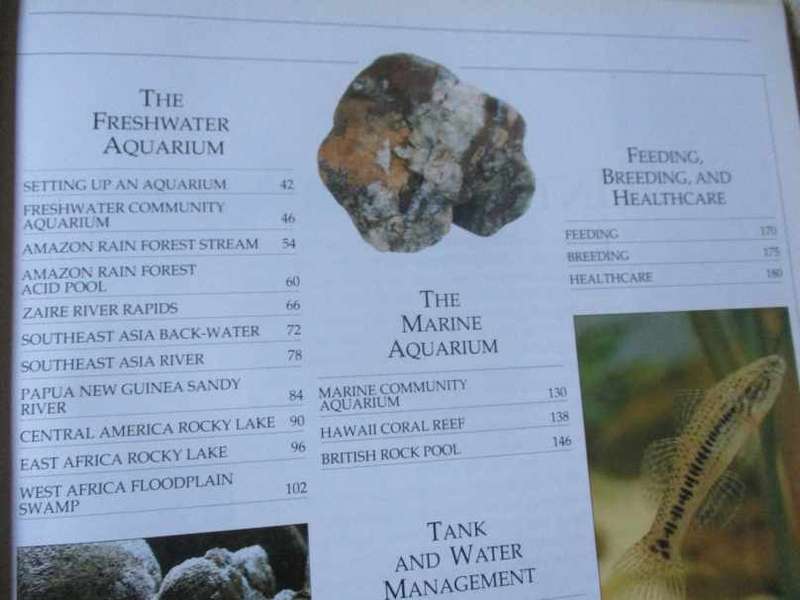 THE COMPLETE AQUARIUM - A PRACTICAL GUIDE TO BUILDING, STOCKING AND MAINTAINING FRESHWATER & MARINE