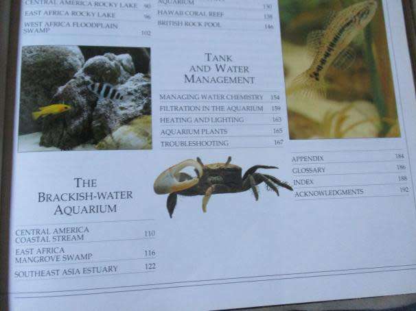 THE COMPLETE AQUARIUM - A PRACTICAL GUIDE TO BUILDING, STOCKING AND MAINTAINING FRESHWATER & MARINE