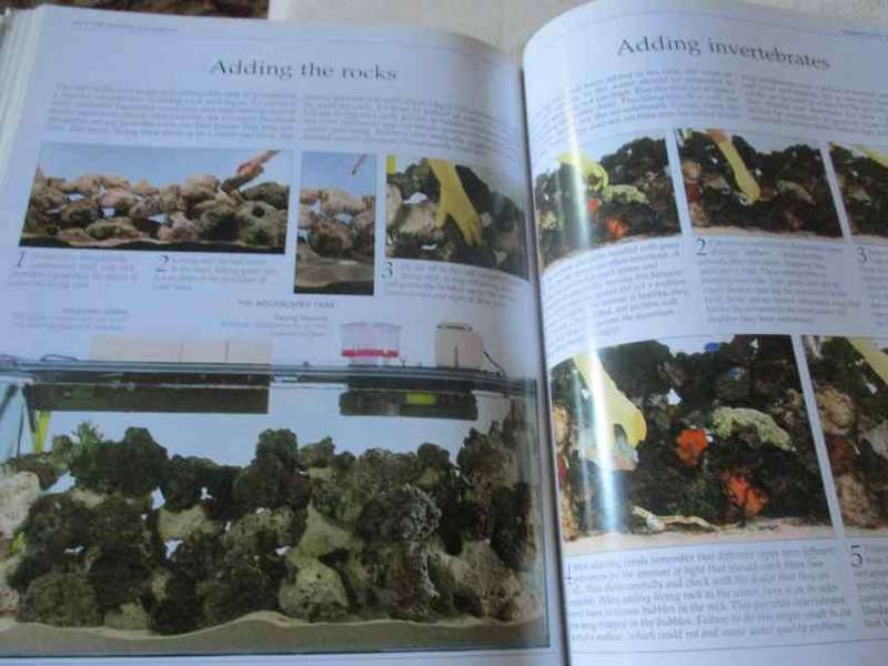 THE COMPLETE AQUARIUM - A PRACTICAL GUIDE TO BUILDING, STOCKING AND MAINTAINING FRESHWATER & MARINE